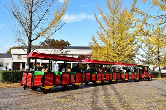 2019-11-16 B-Resized 秩父ミューズパーク‥ (1).jpg