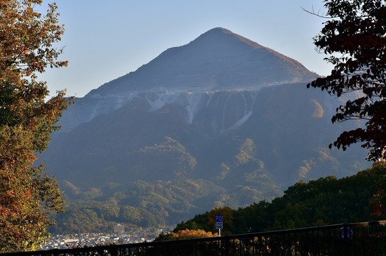 2019-11-16 B-Resized 秩父ミューズパーク‥ (18).jpg
