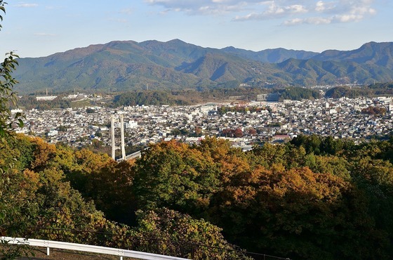 2019-11-16 B-Resized 秩父ミューズパーク‥ (20).jpg