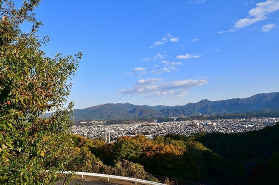 2019-11-16 B-Resized 秩父ミューズパーク‥ (22).jpg