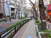 Resized 桜丘通り‥(渋谷区).jpg